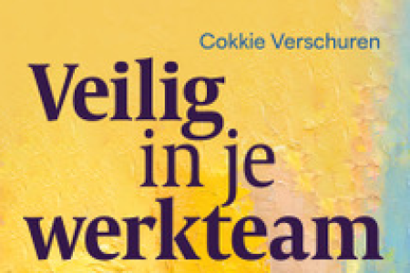 Boek Veilig in je werkteam NB.png