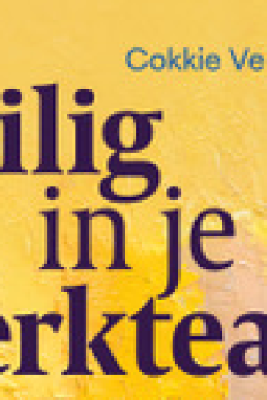 Boek Veilig in je werkteam NB.png